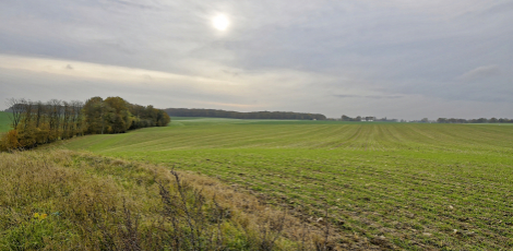 Billede fra dagen. Fotograferet af Eigil Nybo
