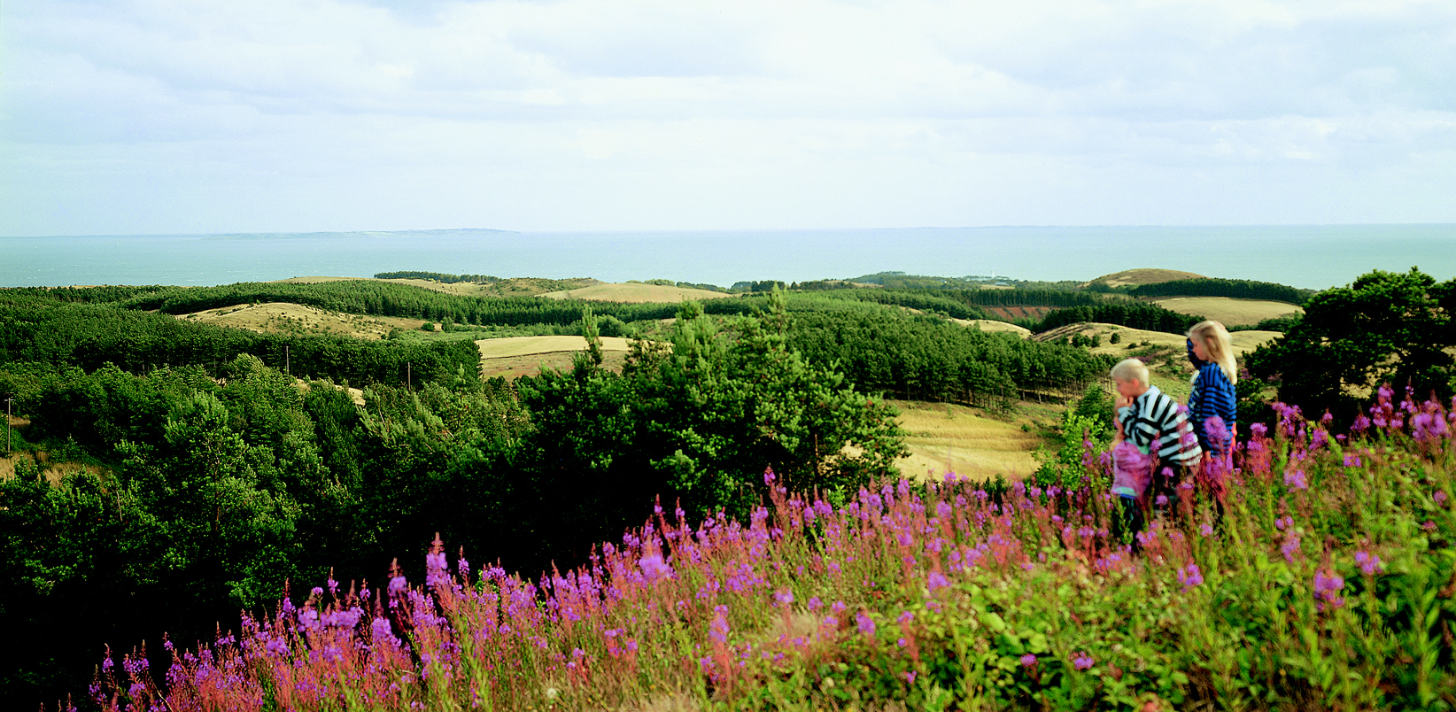 Mols Bjerge med blomster og børn